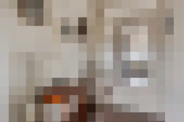 Socrateslaan 125 's-Hertogenbosch thumbnail 33
