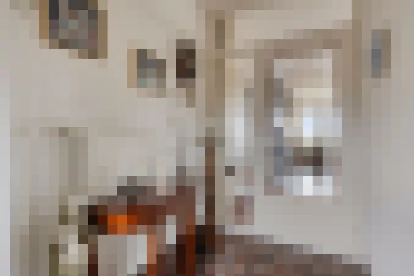 Socrateslaan 125 's-Hertogenbosch thumbnail 33