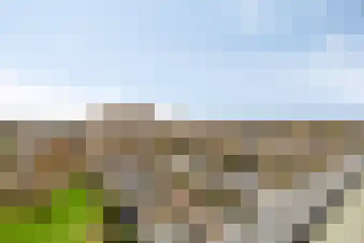 Socrateslaan 125 's-Hertogenbosch thumbnail 36