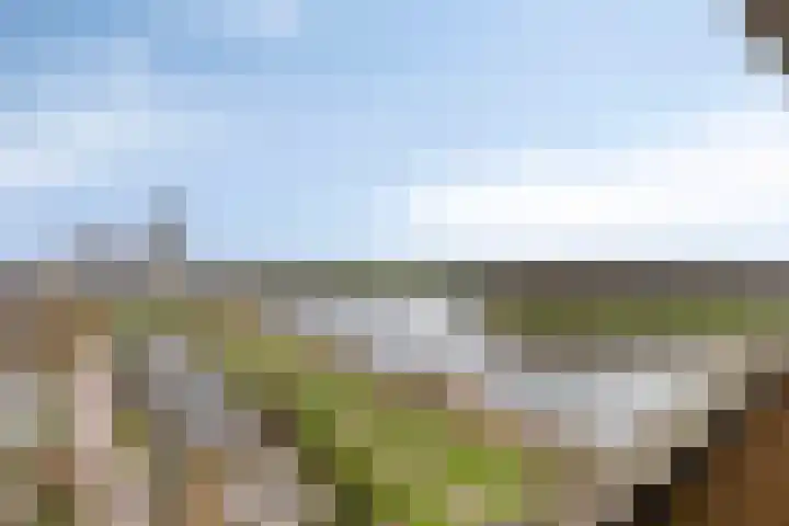 Socrateslaan 125 's-Hertogenbosch thumbnail 37