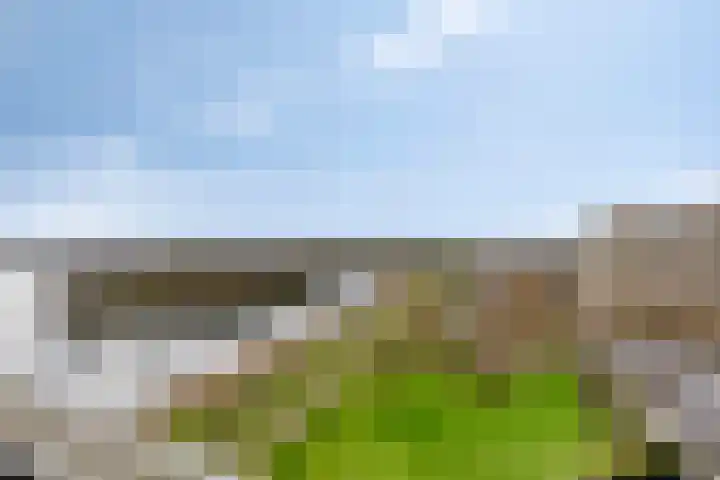 Socrateslaan 125 's-Hertogenbosch thumbnail 38