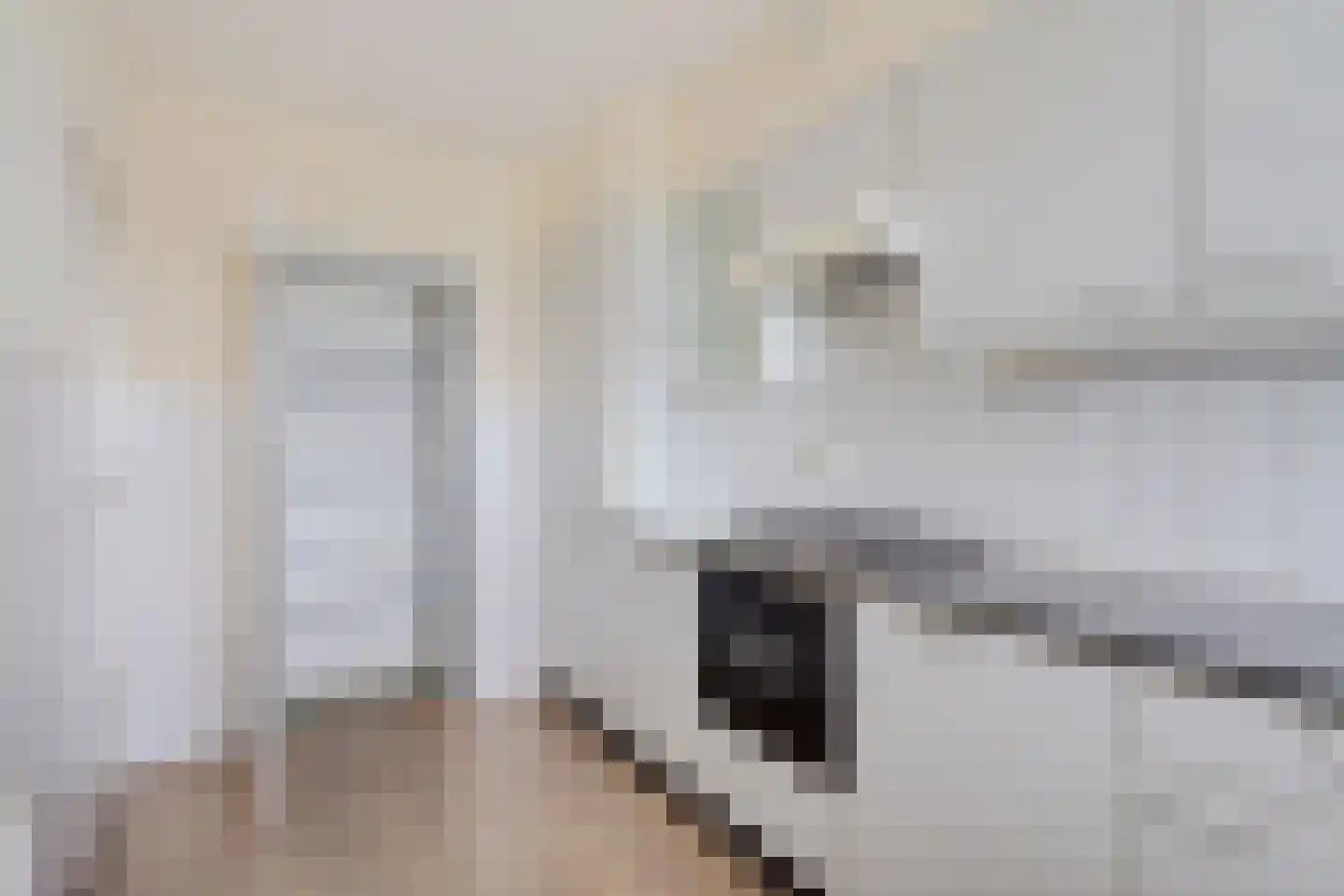 Socrateslaan 133 's-Hertogenbosch thumbnail 11