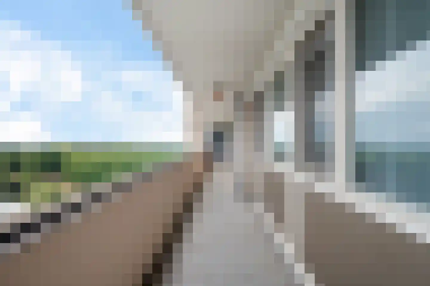 Socrateslaan 133 's-Hertogenbosch thumbnail 24