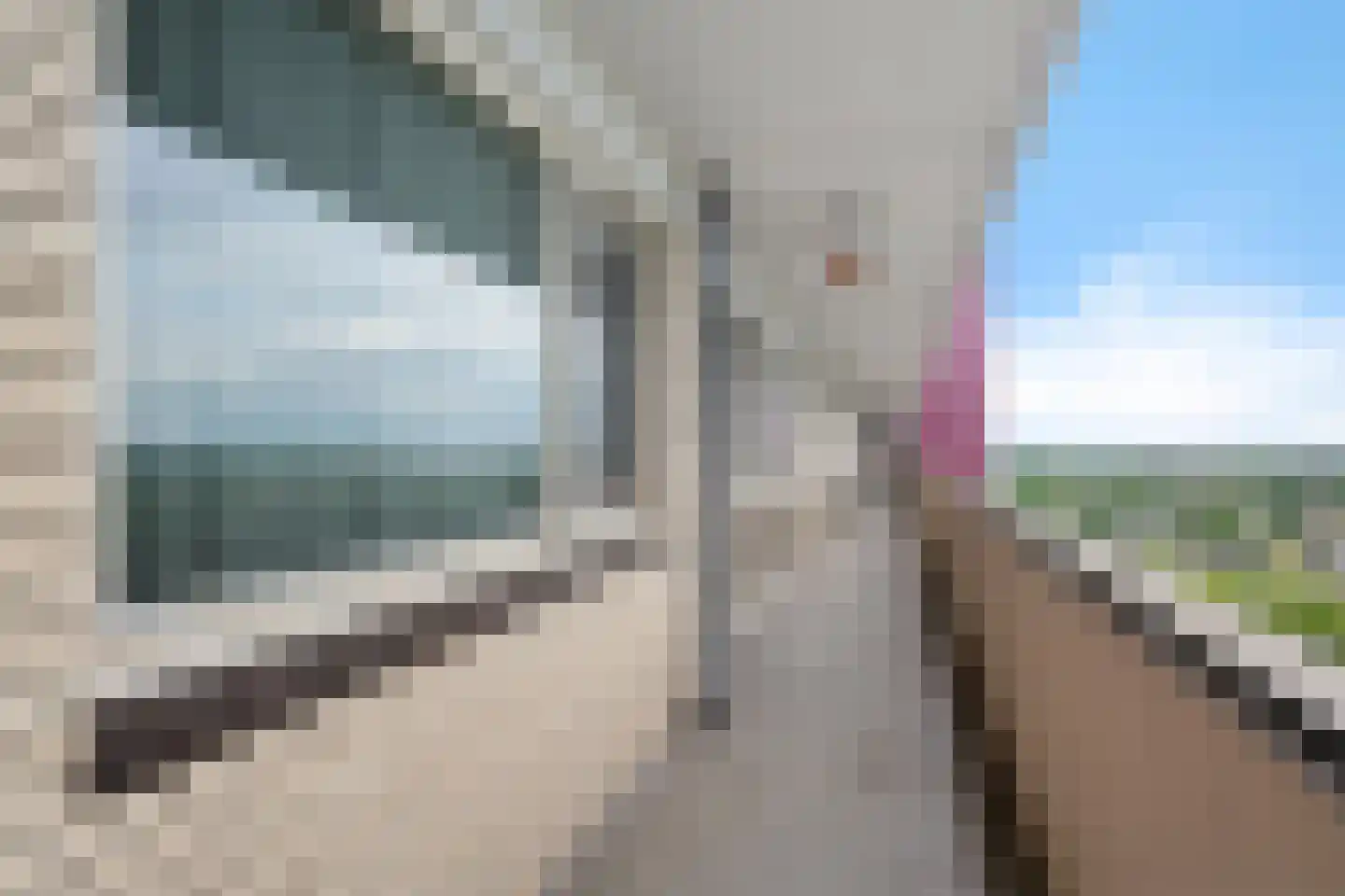 Socrateslaan 133 's-Hertogenbosch thumbnail 25
