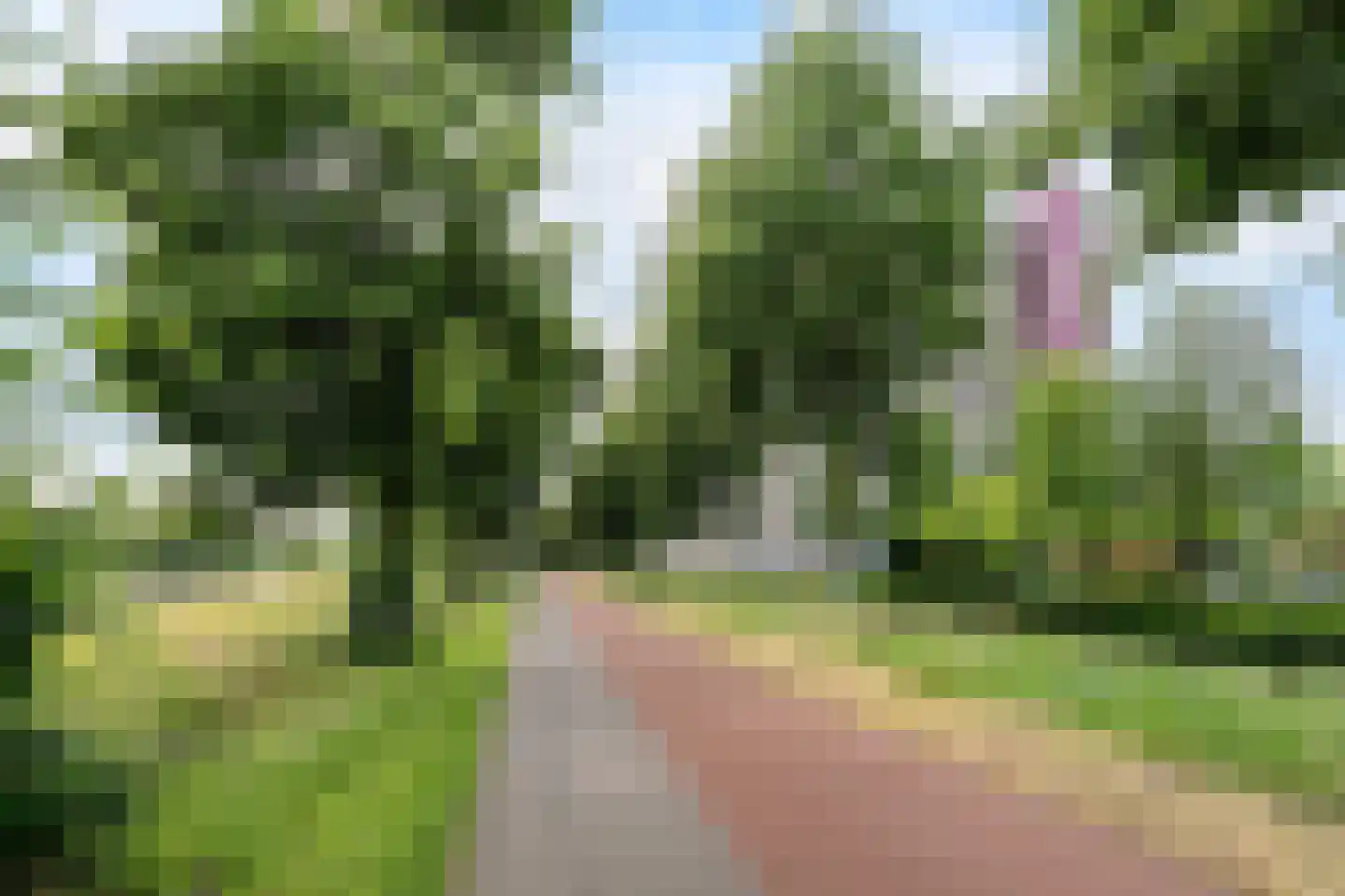 Socrateslaan 133 's-Hertogenbosch thumbnail 33