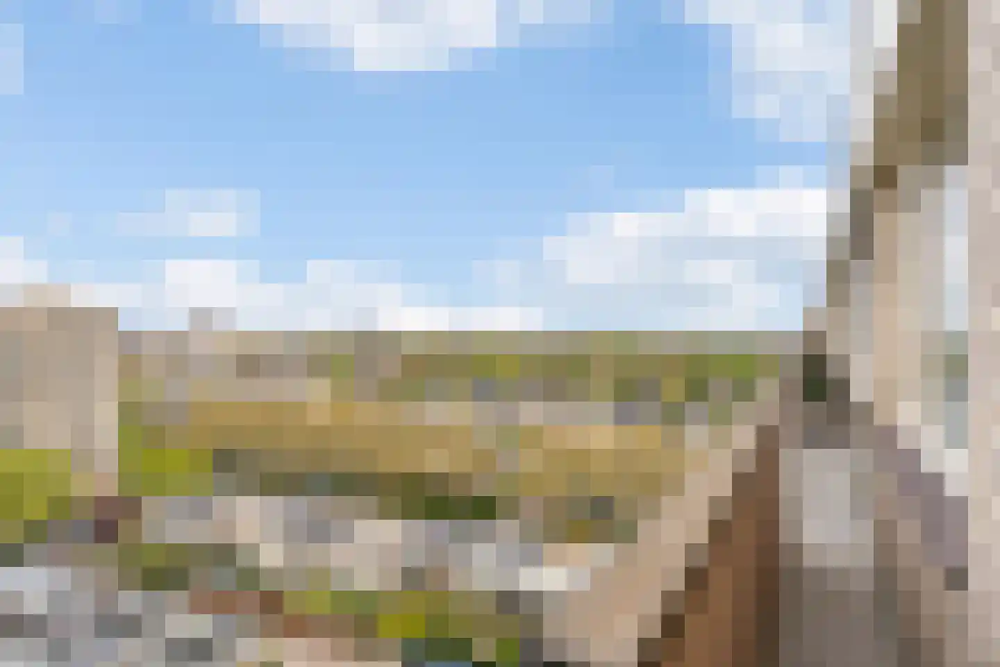 Socrateslaan 147 's-Hertogenbosch thumbnail 17