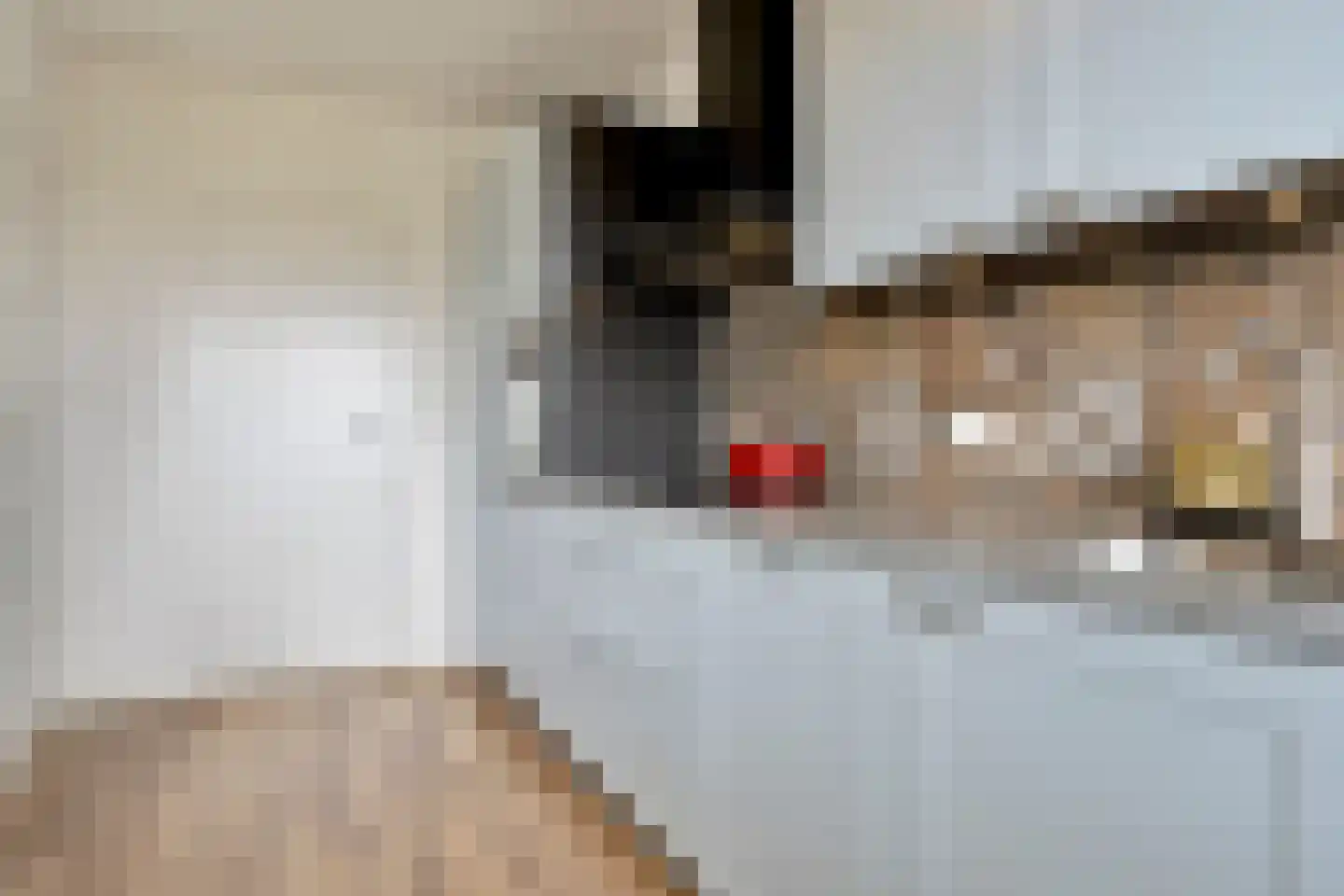 Socrateslaan 147 's-Hertogenbosch thumbnail 23