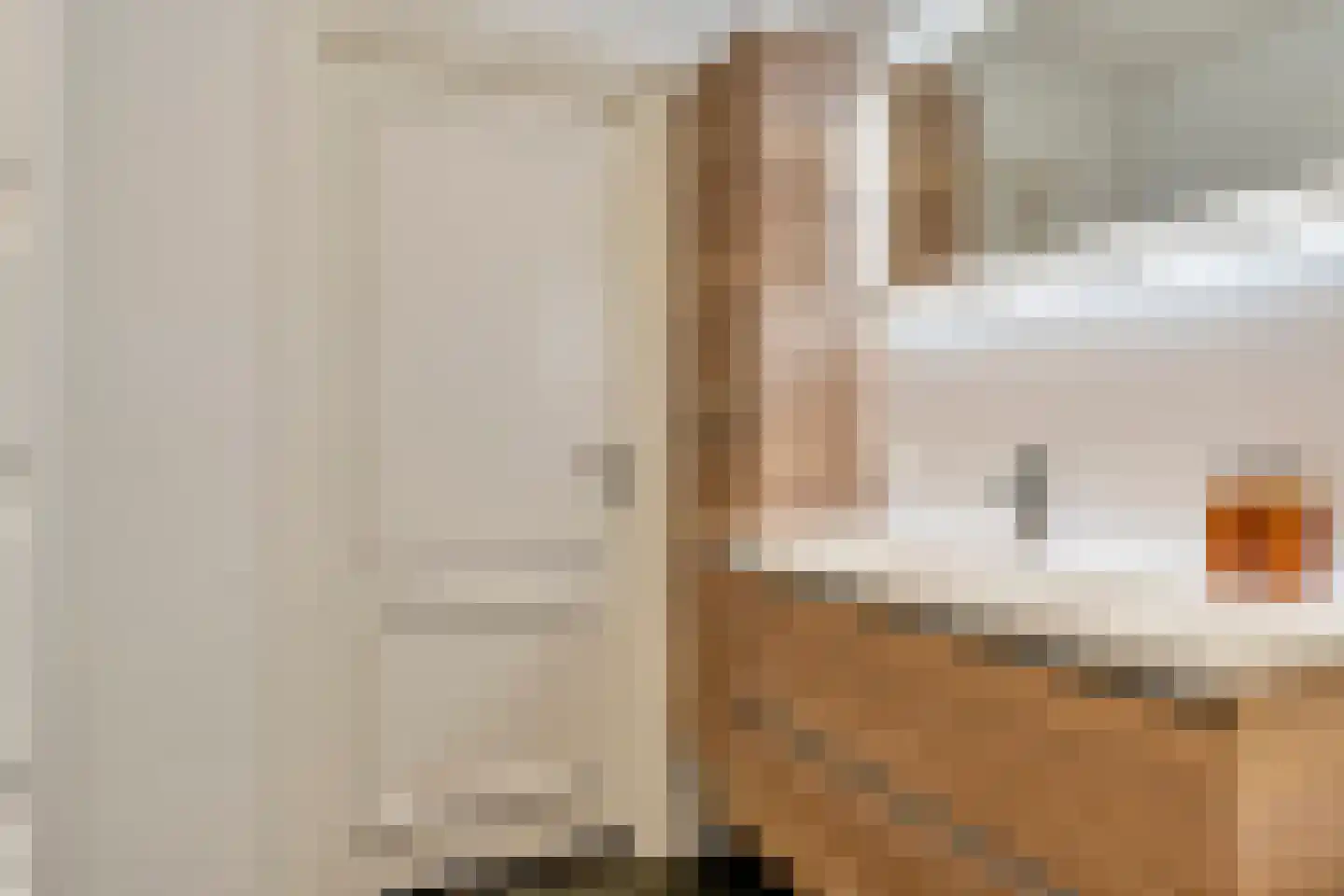 Socrateslaan 147 's-Hertogenbosch thumbnail 31