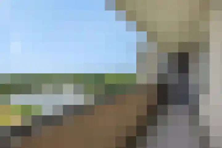 Socrateslaan 149 's-Hertogenbosch thumbnail 11