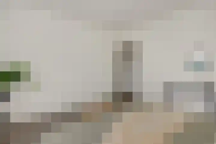Socrateslaan 149 's-Hertogenbosch thumbnail 22