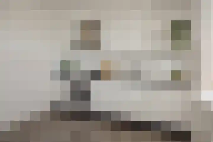 Socrateslaan 149 's-Hertogenbosch thumbnail 25