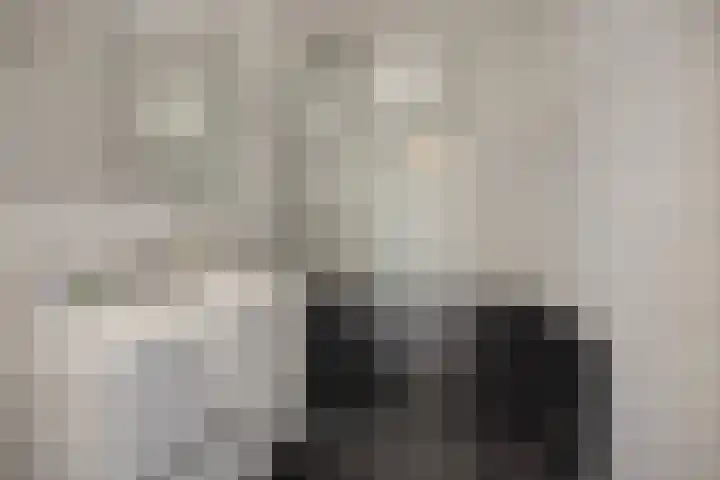 Socrateslaan 149 's-Hertogenbosch thumbnail 27