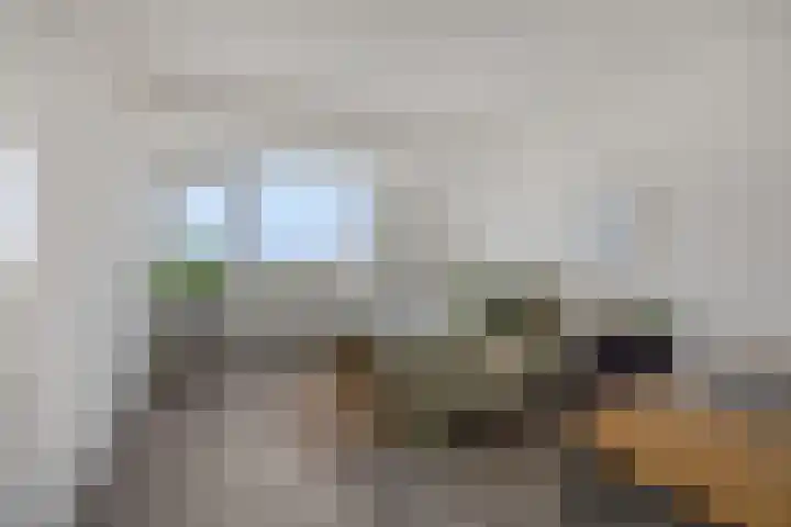 Socrateslaan 149 's-Hertogenbosch thumbnail 29