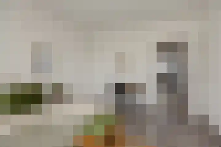 Socrateslaan 149 's-Hertogenbosch thumbnail 30