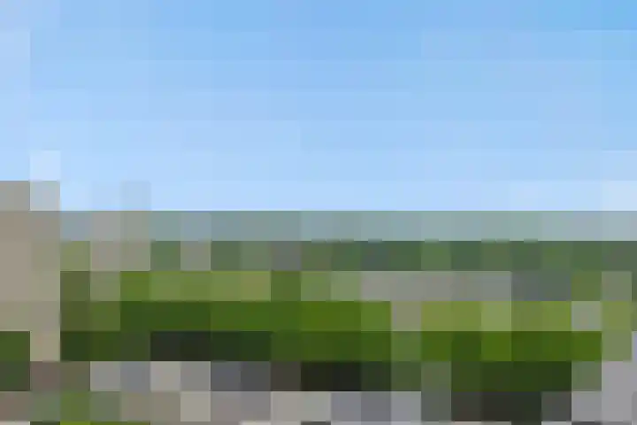 Socrateslaan 149 's-Hertogenbosch thumbnail 33