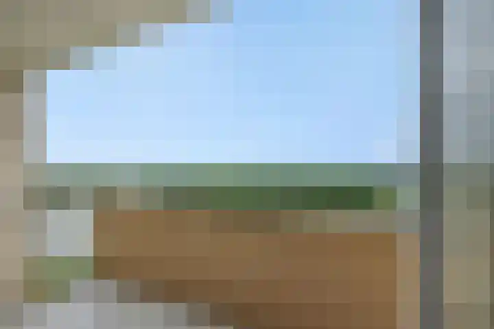 Socrateslaan 149 's-Hertogenbosch thumbnail 34