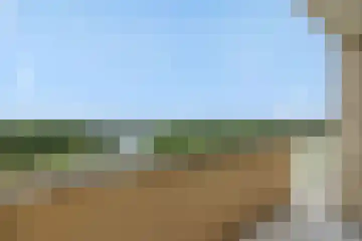 Socrateslaan 149 's-Hertogenbosch thumbnail 35