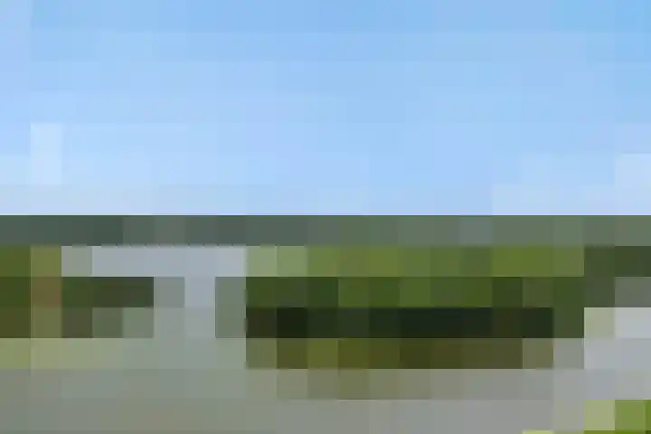Socrateslaan 149 's-Hertogenbosch thumbnail 37