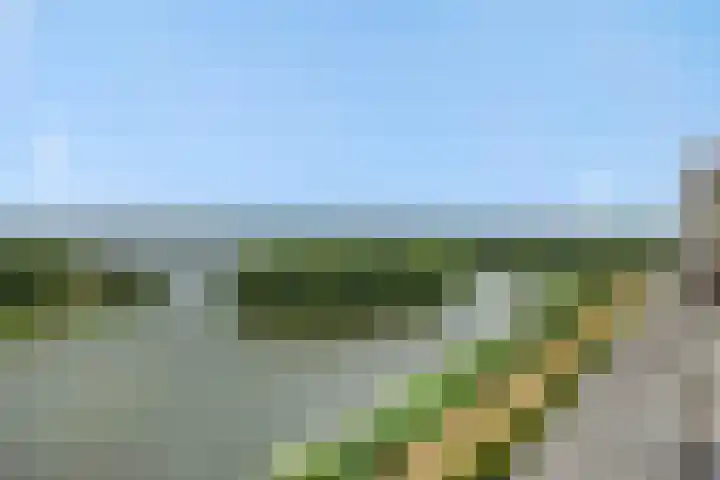 Socrateslaan 149 's-Hertogenbosch thumbnail 39