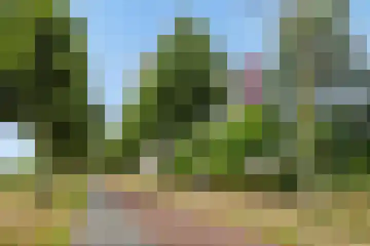 Socrateslaan 149 's-Hertogenbosch thumbnail 6