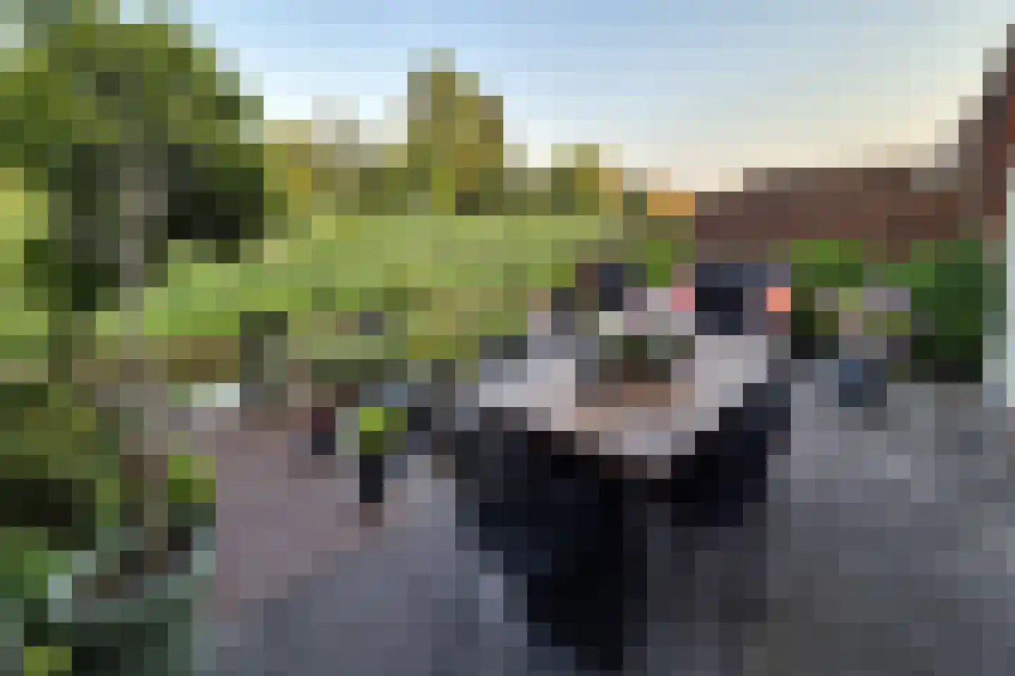 Socrateslaan 23 Den Haag thumbnail 9