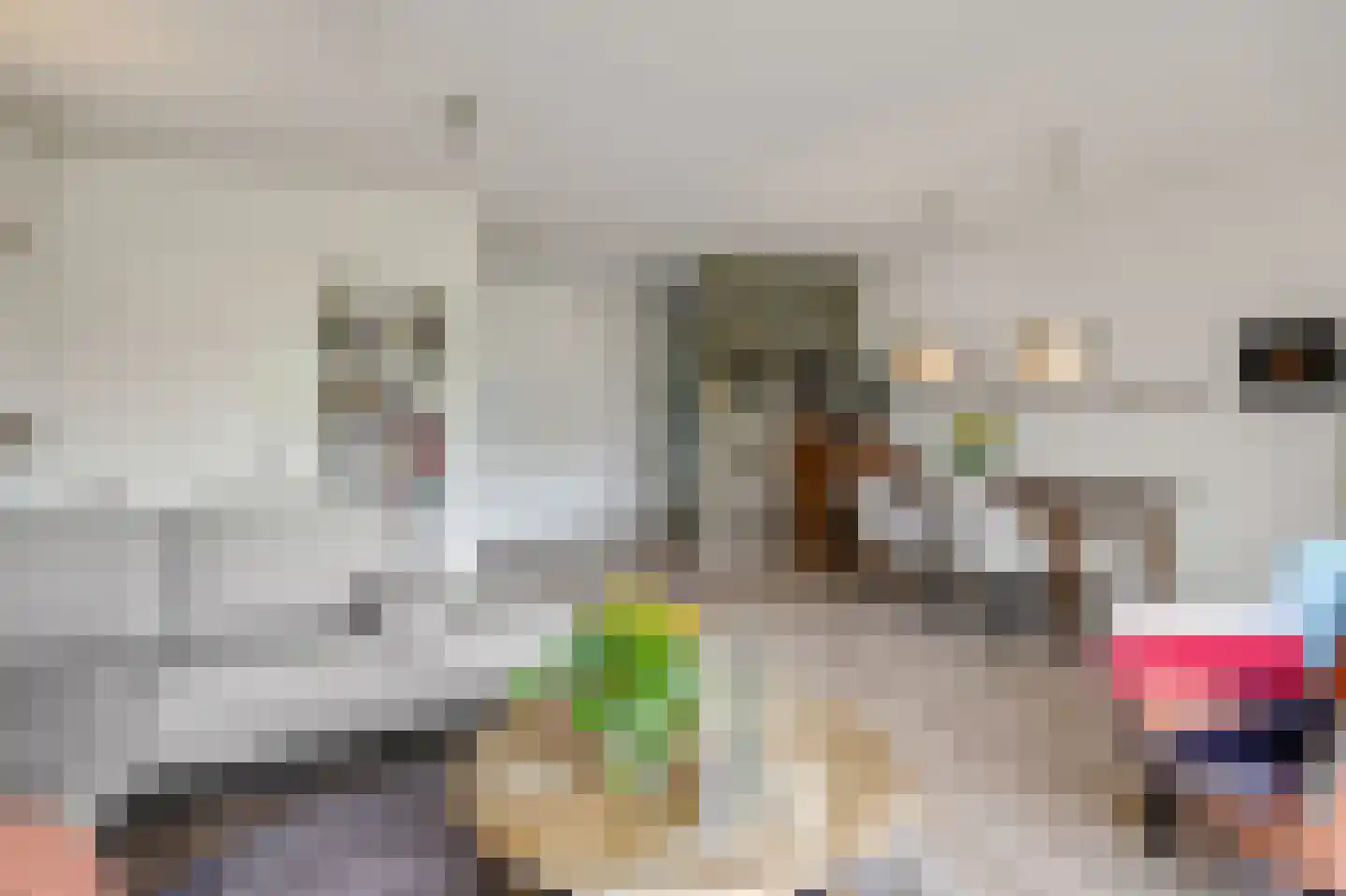 Socrateslaan 27 's-Hertogenbosch thumbnail 11
