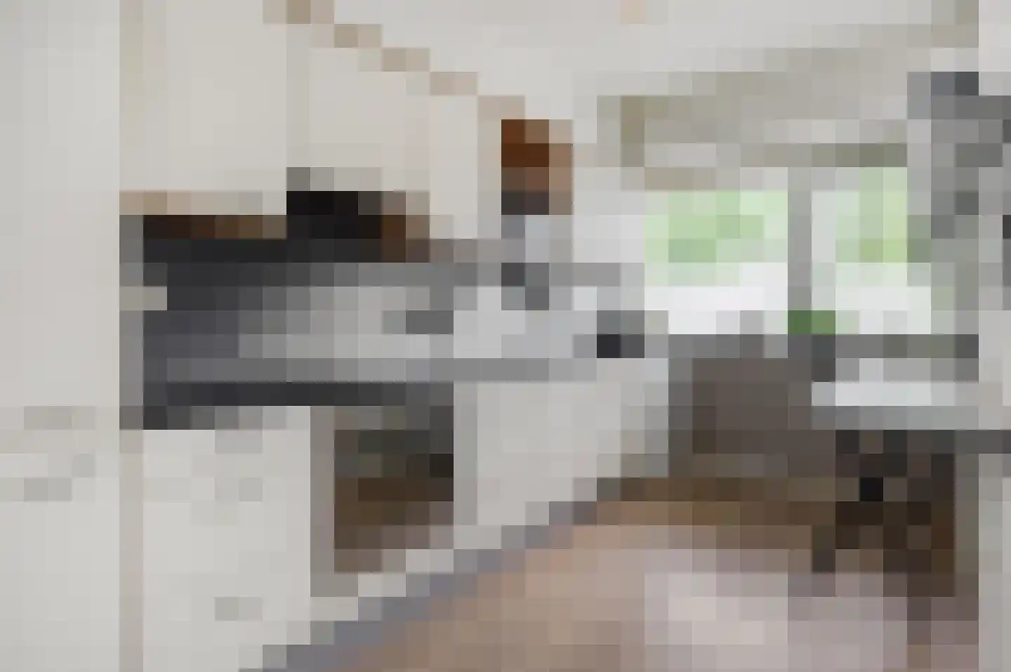 Socrateslaan 27 's-Hertogenbosch thumbnail 14