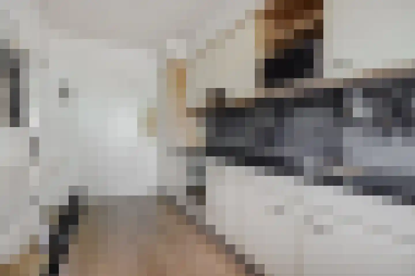 Socrateslaan 27 's-Hertogenbosch thumbnail 15
