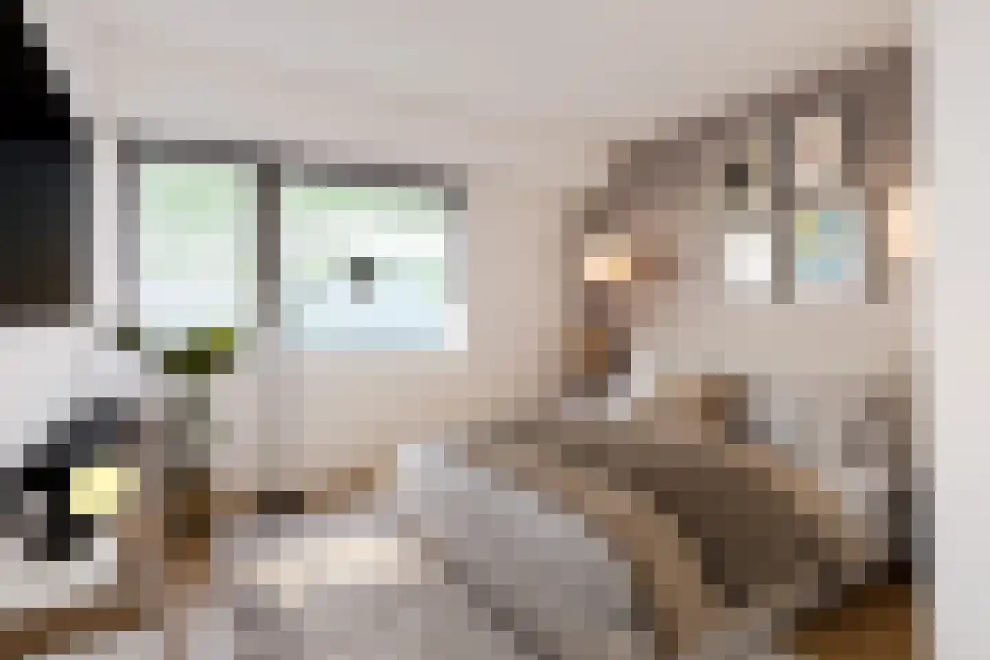 Socrateslaan 27 's-Hertogenbosch thumbnail 20