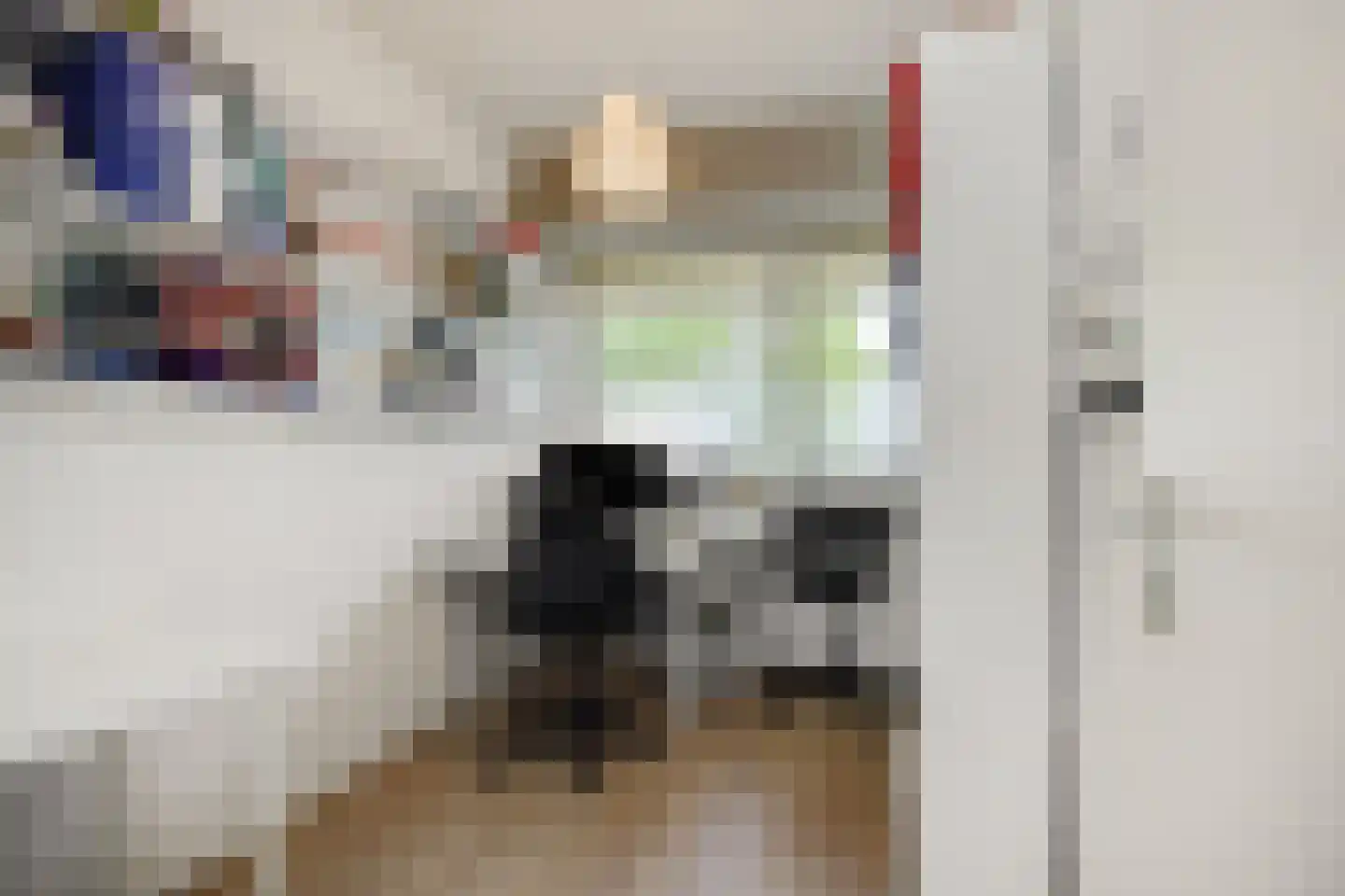 Socrateslaan 27 's-Hertogenbosch thumbnail 22