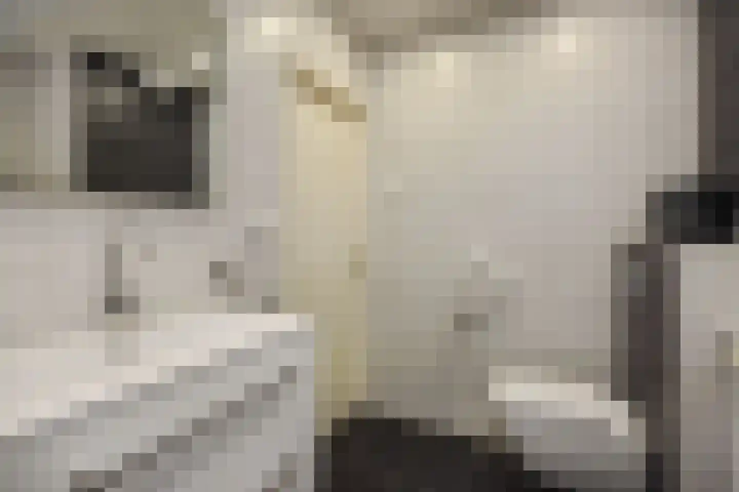 Socrateslaan 27 's-Hertogenbosch thumbnail 25