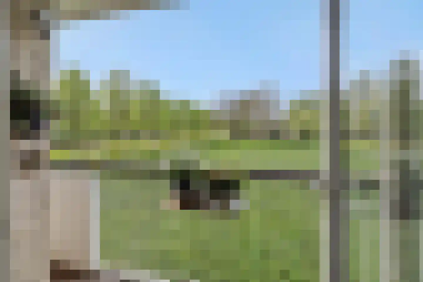 Socrateslaan 27 's-Hertogenbosch thumbnail 7