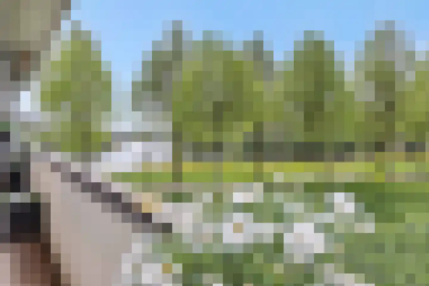 Socrateslaan 27 's-Hertogenbosch thumbnail 8