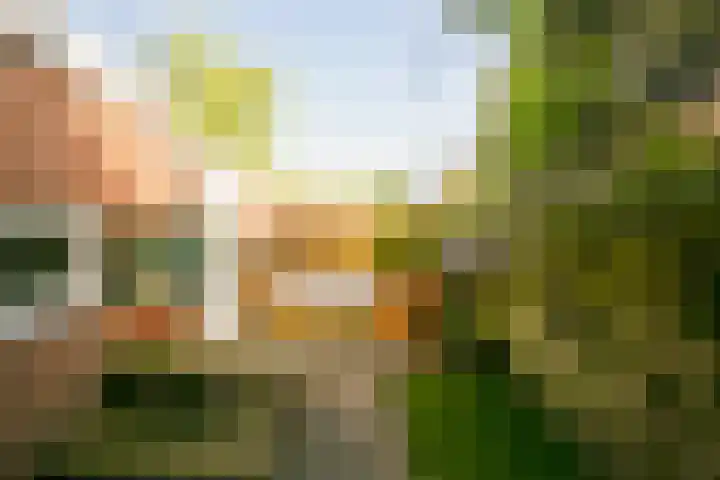 Socrateslaan 37 Utrecht thumbnail 12