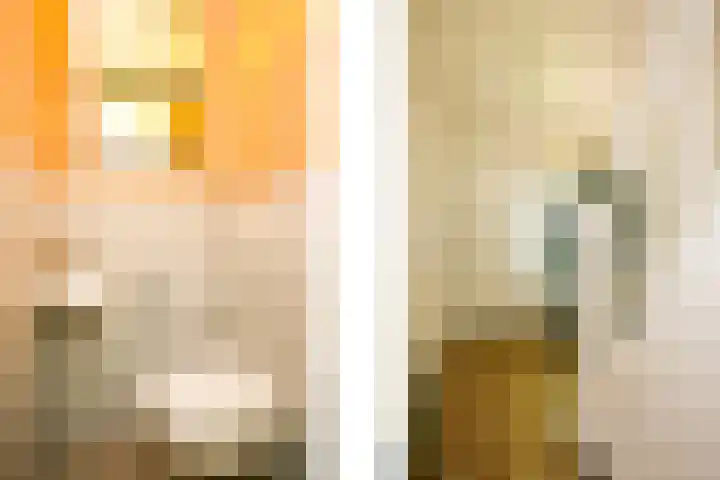 Socrateslaan 37 Utrecht thumbnail 16