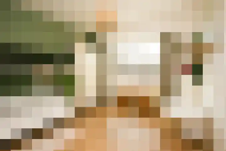 Socrateslaan 37 Utrecht thumbnail 19