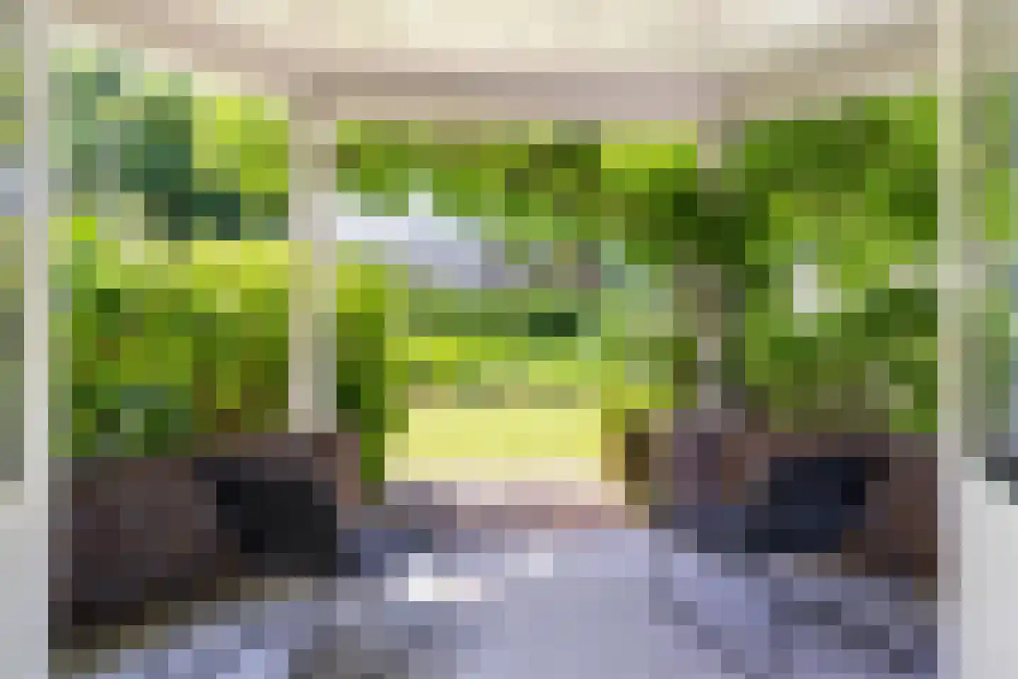 Socrateslaan 4 Zeist thumbnail 13
