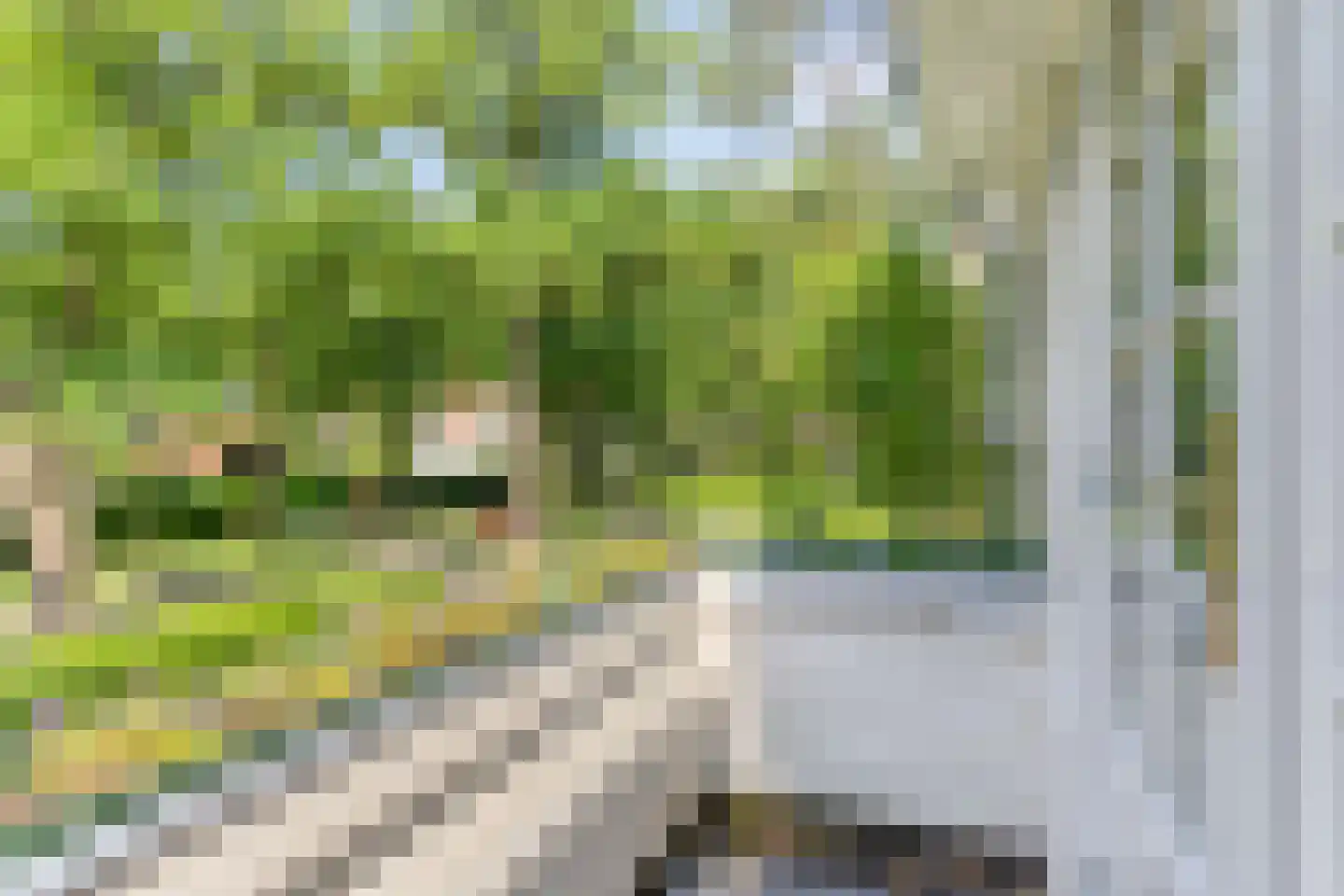 Socrateslaan 4 Zeist thumbnail 30