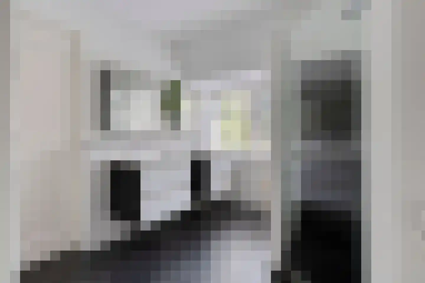 Socrateslaan 4 Zeist thumbnail 37