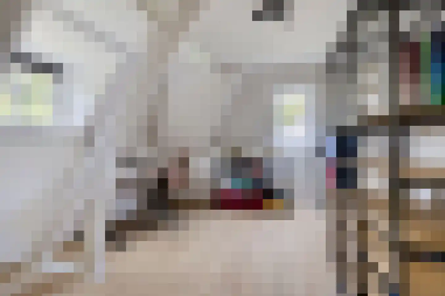 Socrateslaan 4 Zeist thumbnail 43