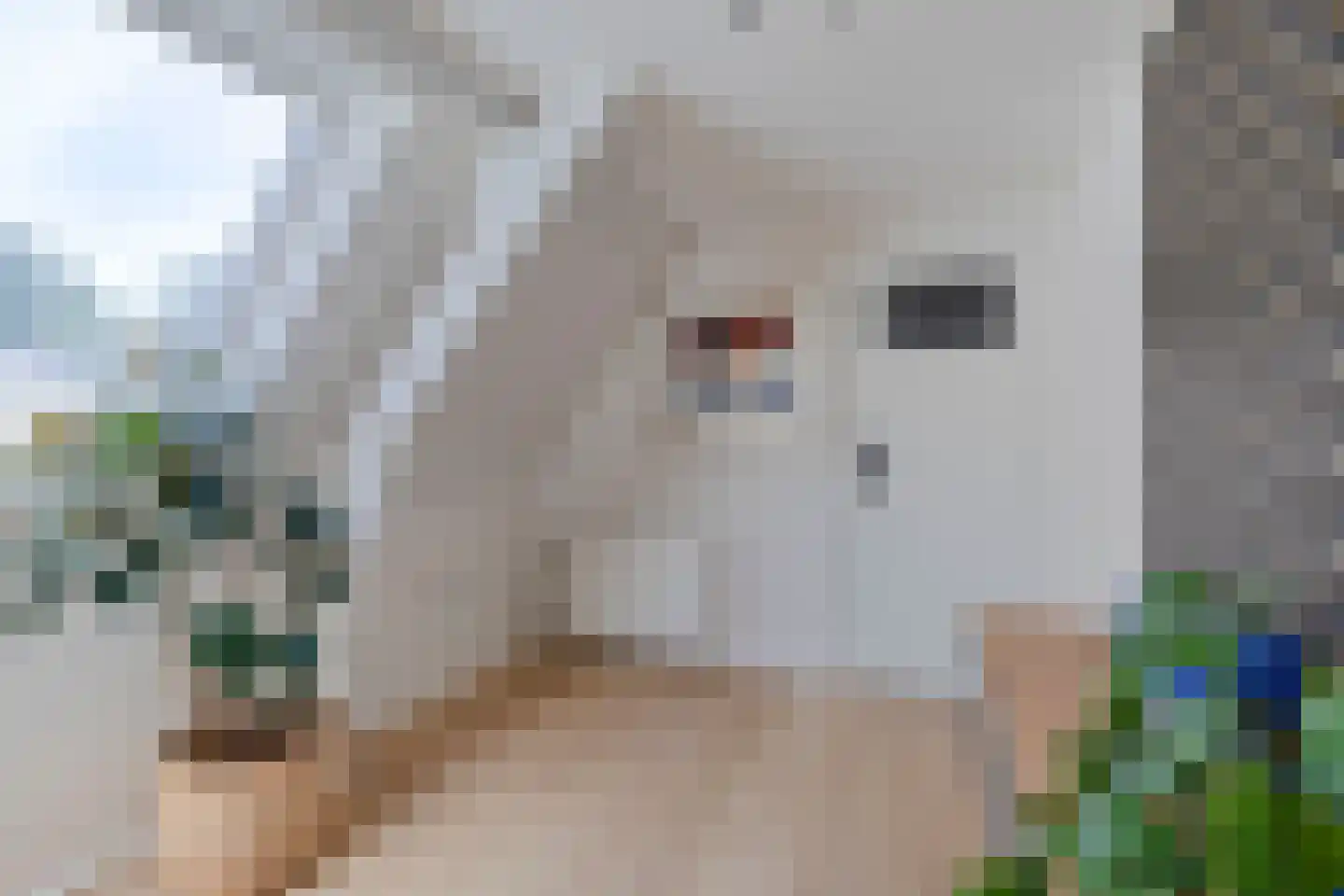 Socrateslaan 4 Zeist thumbnail 46