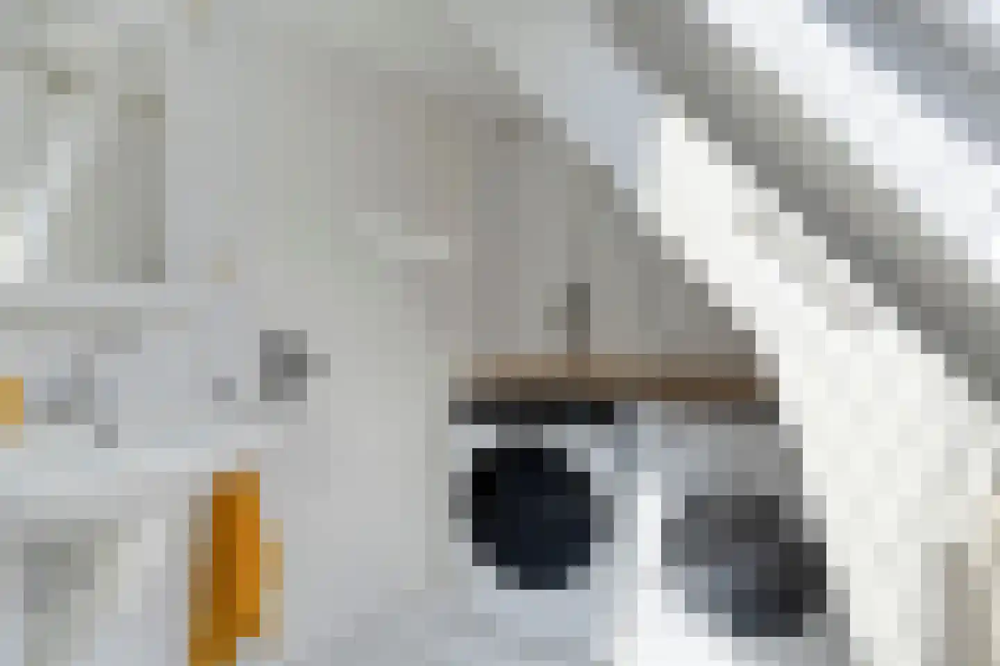 Socrateslaan 4 Zeist thumbnail 48