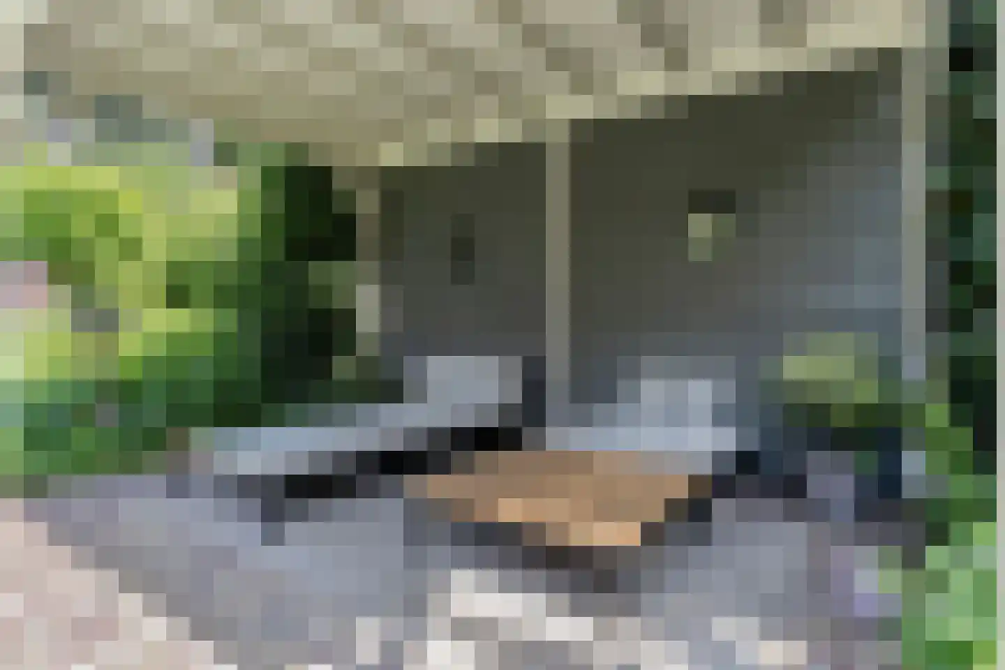 Socrateslaan 4 Zeist thumbnail 52