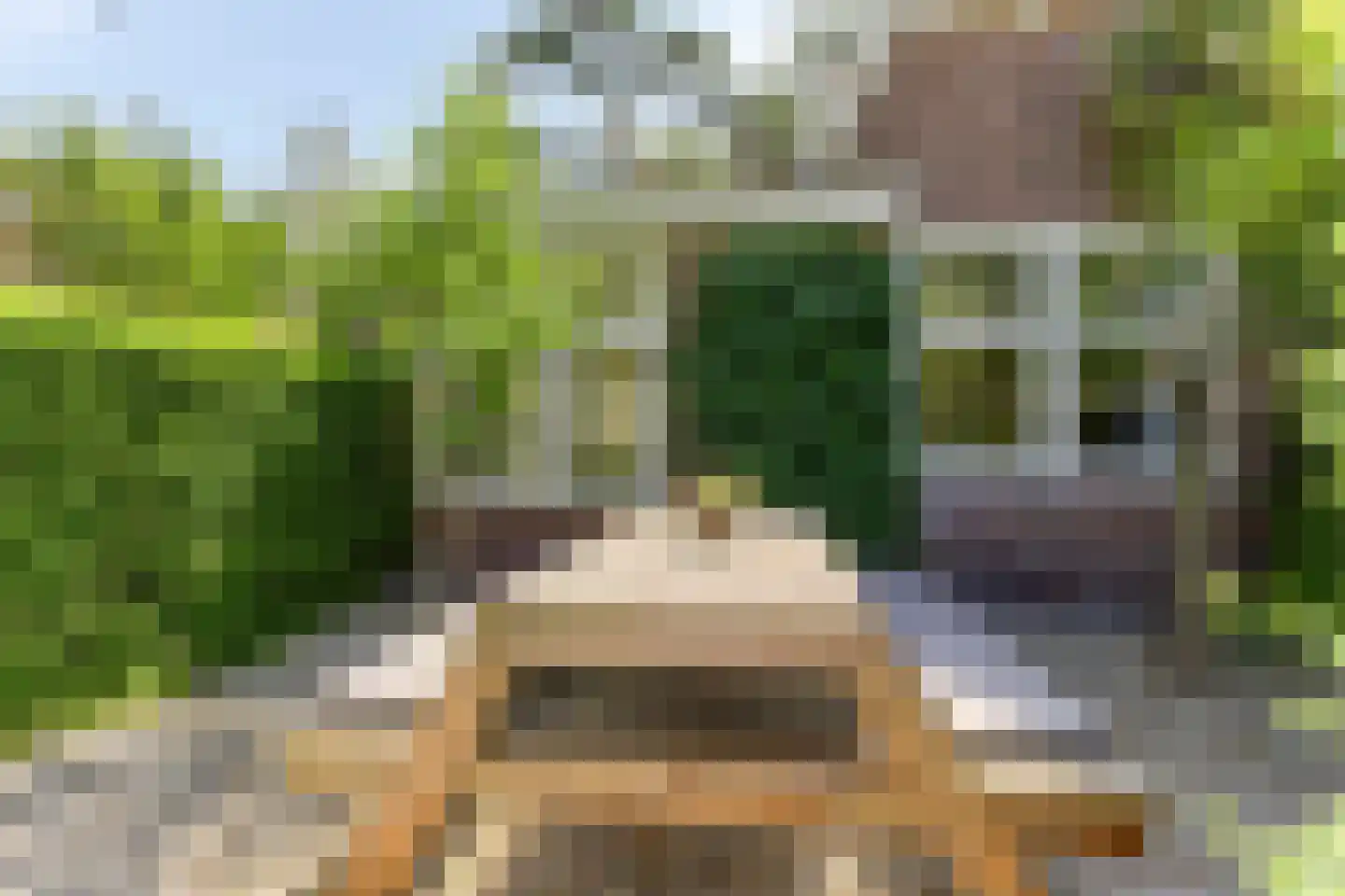 Socrateslaan 4 Zeist thumbnail 54