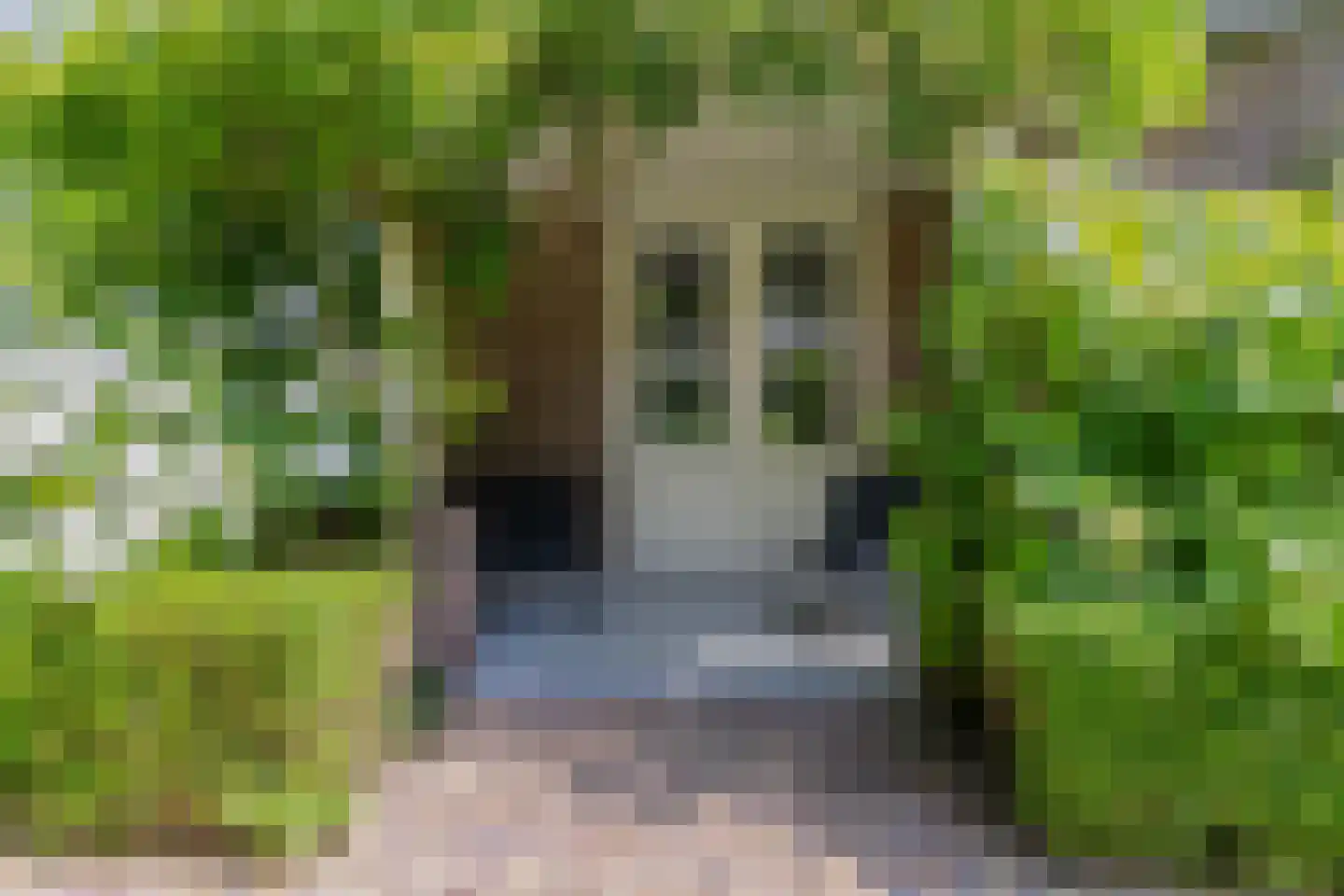 Socrateslaan 4 Zeist thumbnail 58