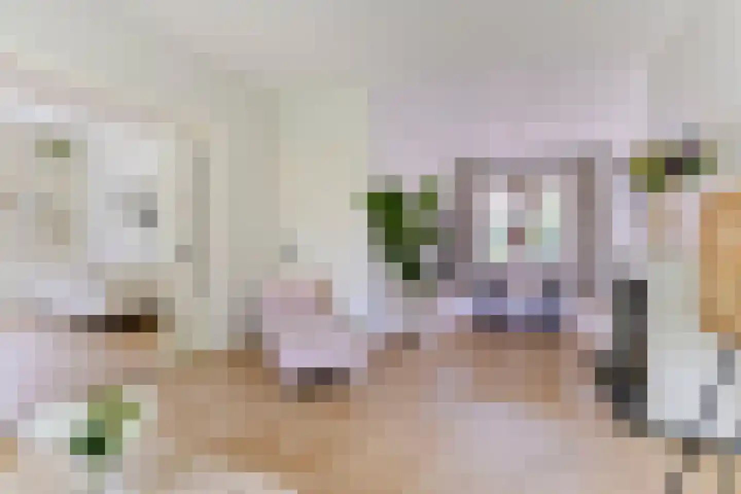 Socrateslaan 4 Zeist thumbnail 7