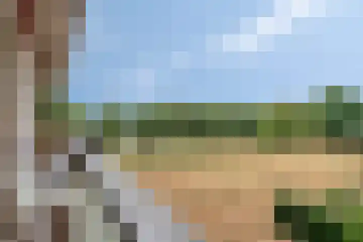 Socrateslaan 41 's-Hertogenbosch thumbnail 10