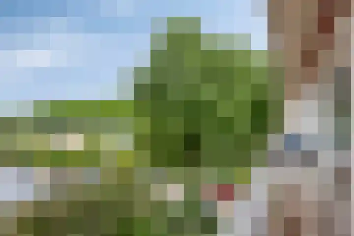 Socrateslaan 41 's-Hertogenbosch thumbnail 11