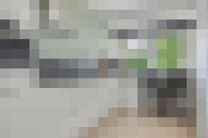 Socrateslaan 41 's-Hertogenbosch thumbnail 12