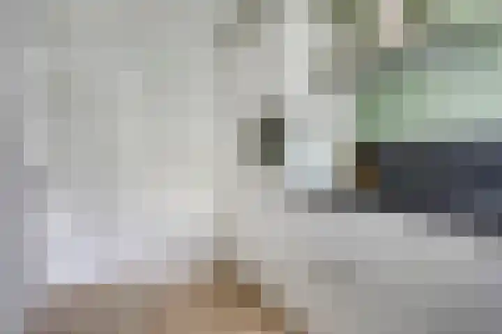 Socrateslaan 41 's-Hertogenbosch thumbnail 13